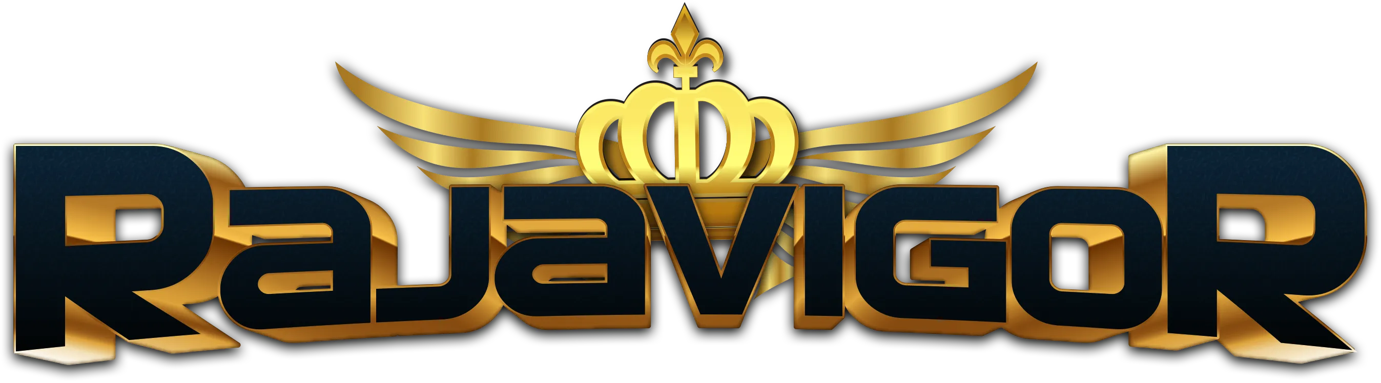 LOGO RAJAVIGOR